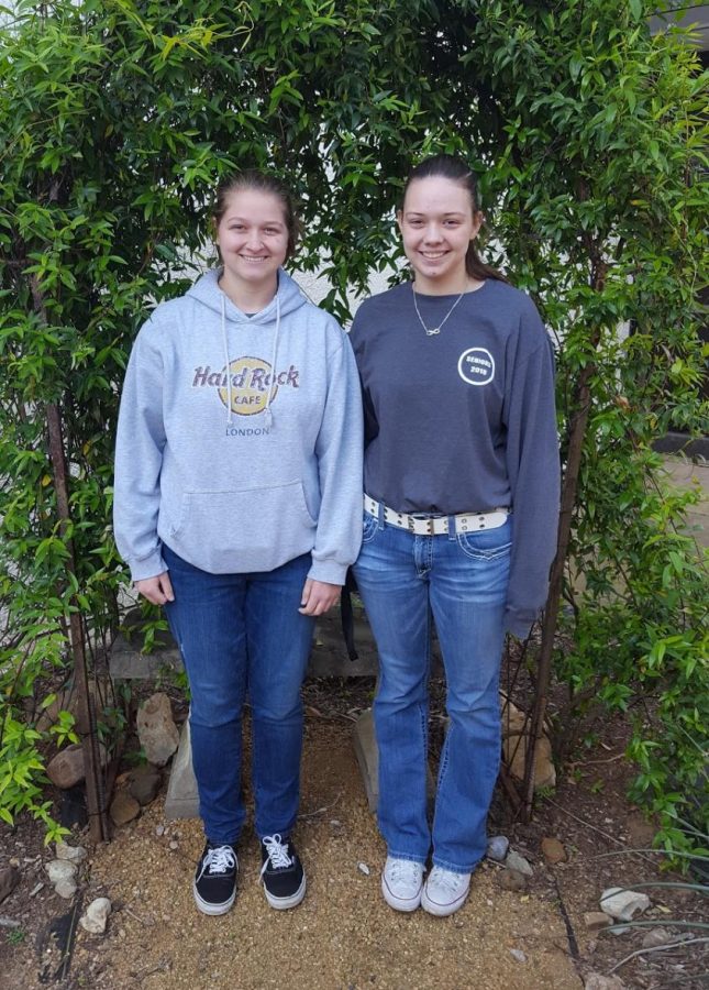 Senior Kaytlyn Brewer and junior Molly Allred placed third and fifth respectively in news writing at the regional UIL meet.