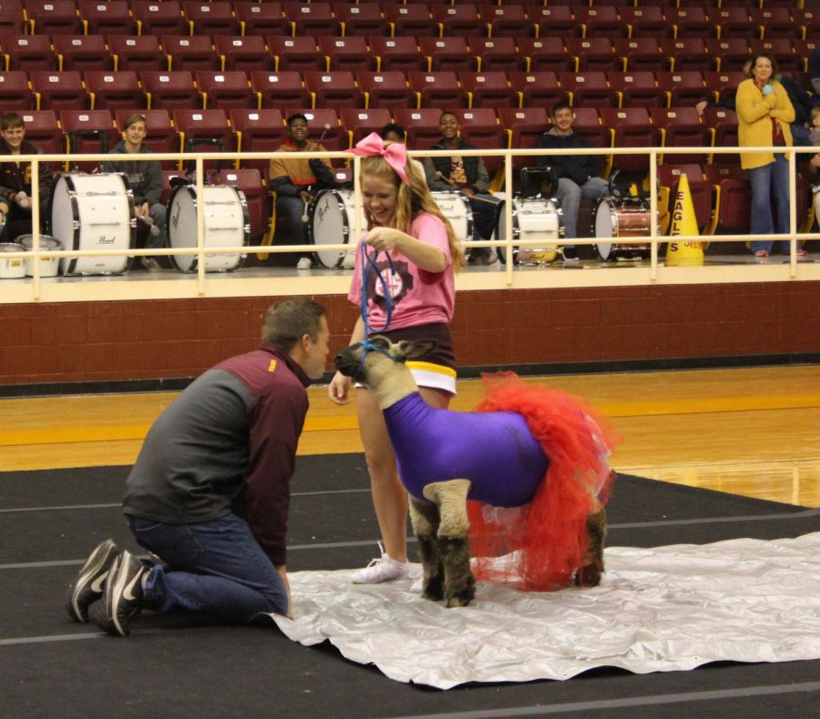 Coach Philip Page kisses the lamb held by senior Madi Isaacs. Photo by Naydelin Espinoza.