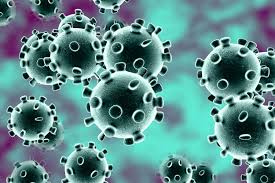 Coronavirus Causes Concern