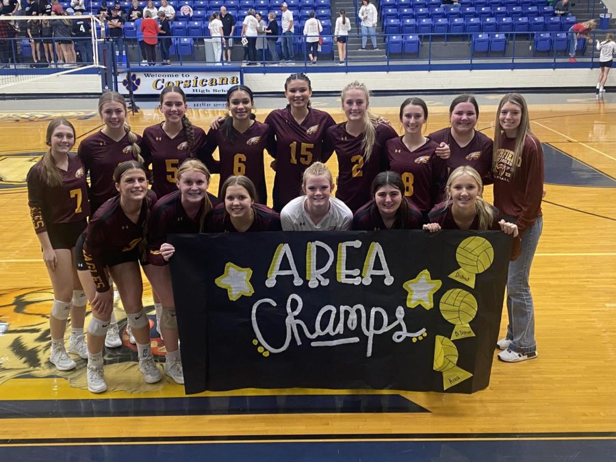Lady Eagles Continue Playoffs
